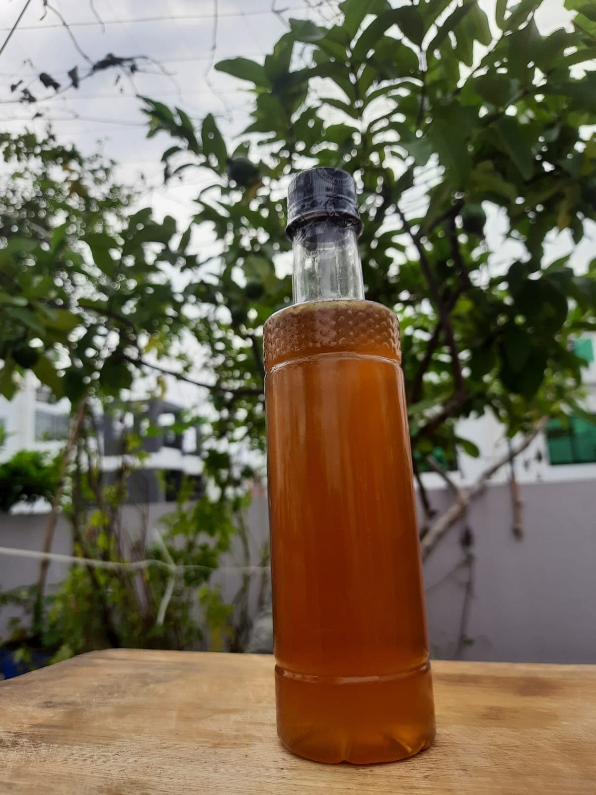 সুন্দরবনের মিশ্র ফুলের মধু